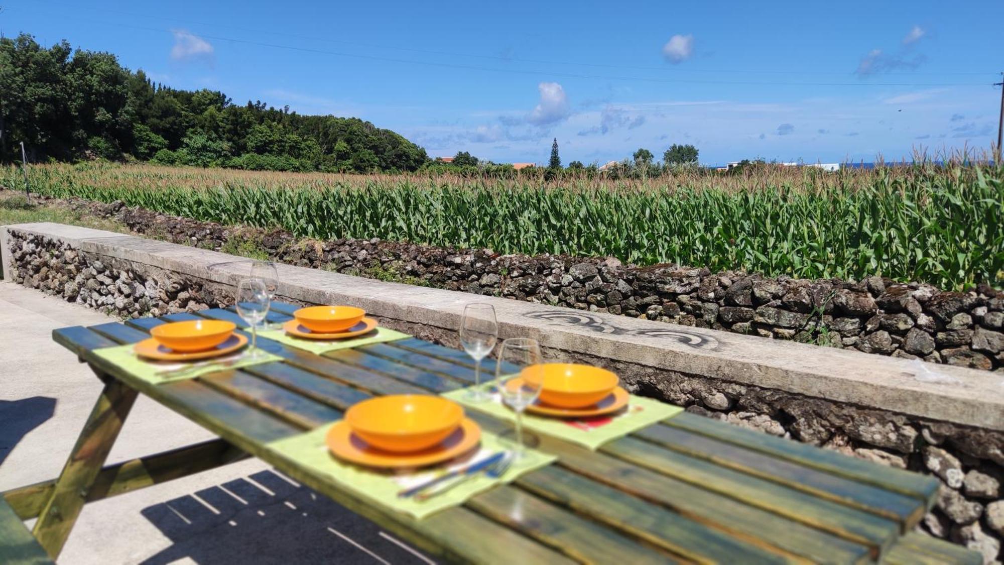 Vila Casa Dos Meus Avos Al Biscoitos  Exteriér fotografie